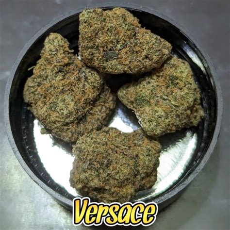 lemon Versace strain